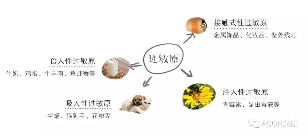 APAAACI 2019 | 深入解讀過敏原：從診斷到治療，優(yōu)化過敏原診斷管理——艾康生物過敏原檢測分會