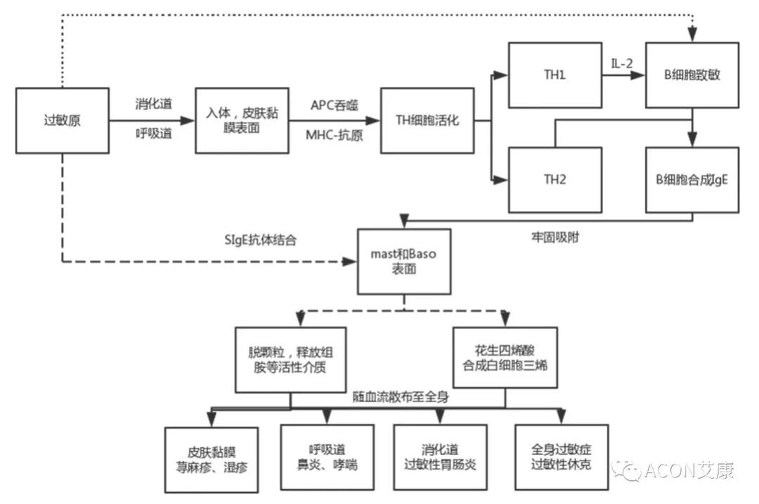 APAAACI 2019 | 深入解讀過敏原：從診斷到治療，優(yōu)化過敏原診斷管理——艾康生物過敏原檢測分會