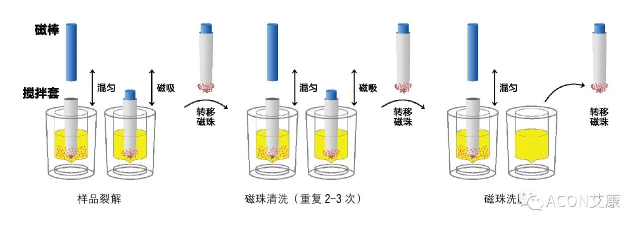 Promotor?核酸提純儀， 讓基因提純更便捷。