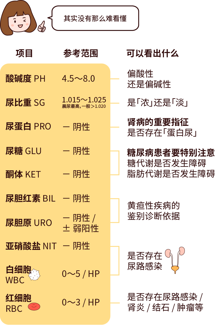 排尿黃、異味大，可能是身體在報警！