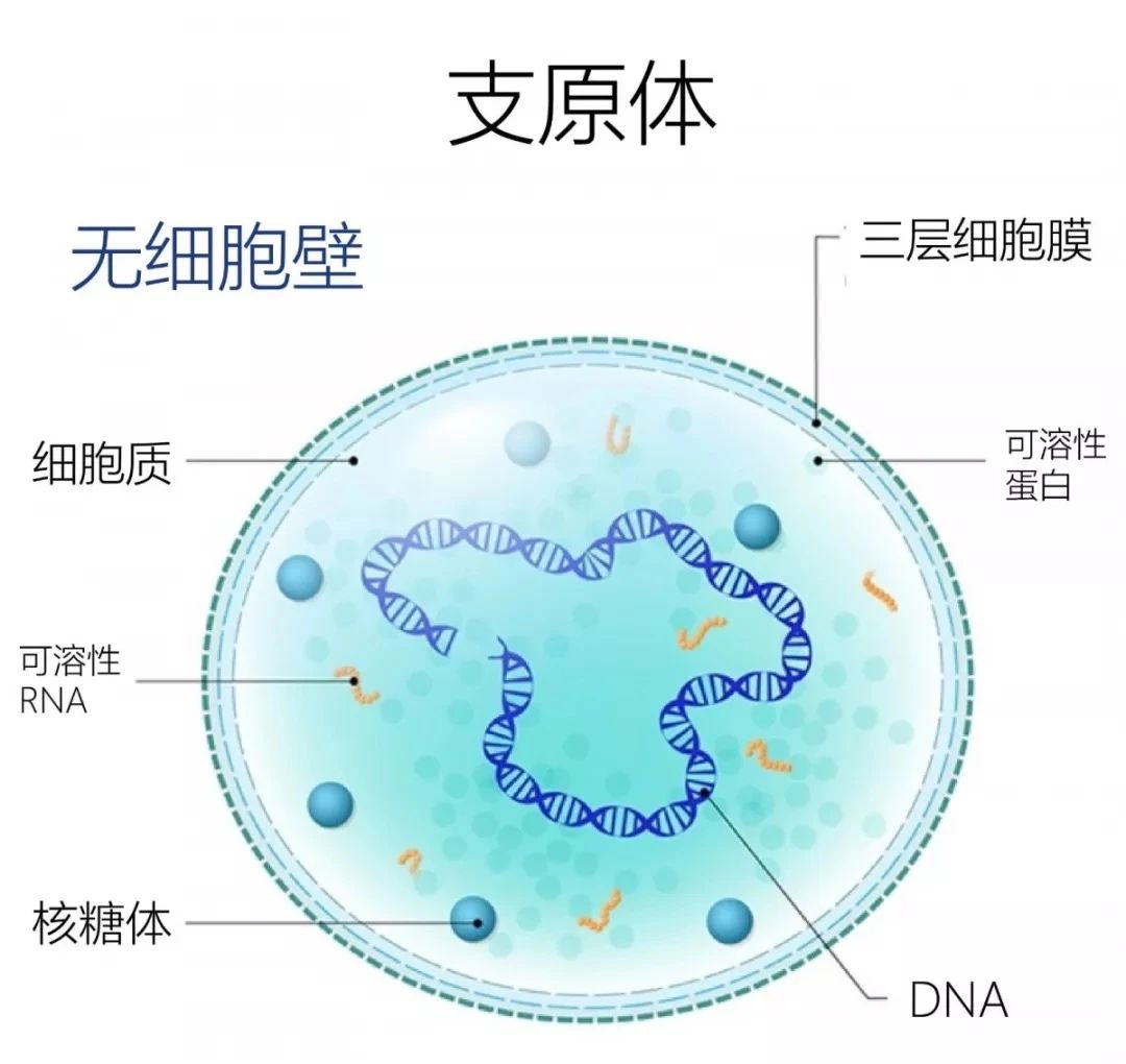 微信圖片_20231026162554.jpg